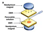 Unveiling asymmetric topological photonic states in anisotropic 2D perovskite microcavities