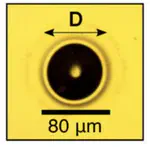 Laser writing of parabolic micromirrors with a high numerical aperture for optical trapping and rotation